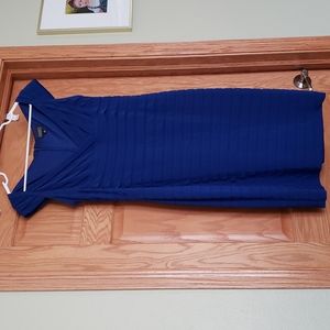 Blue Adrianna Papell Dress